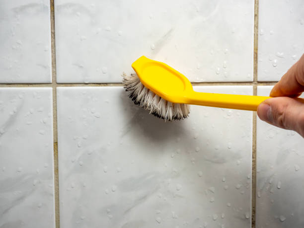Best Mold Remediation  in Ellijay, GA