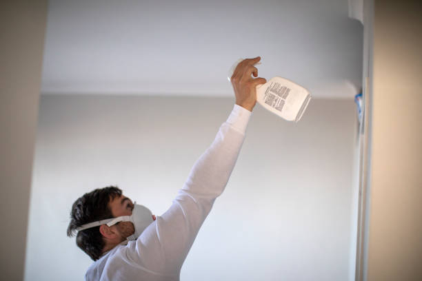 Mold Removal Process in Ellijay, GA