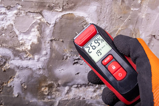 Best Certified Mold Removal  in Ellijay, GA