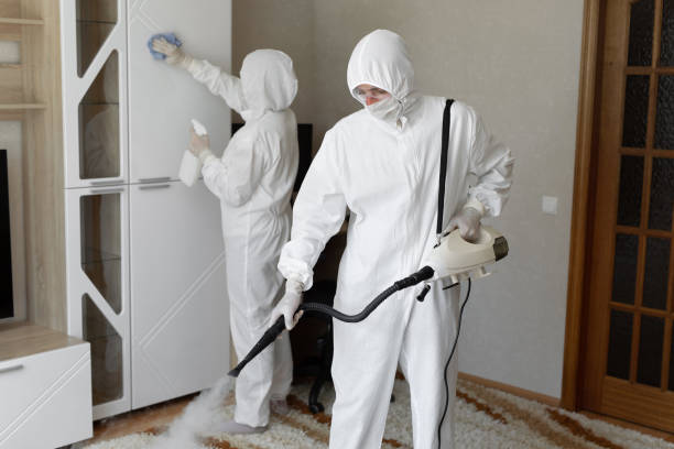 Best Residential Mold Removal  in Ellijay, GA